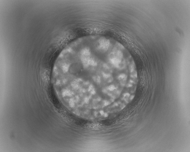 X0000116020695200912181149