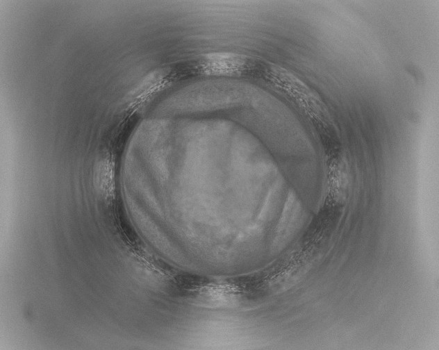 X0000116020696200912181149