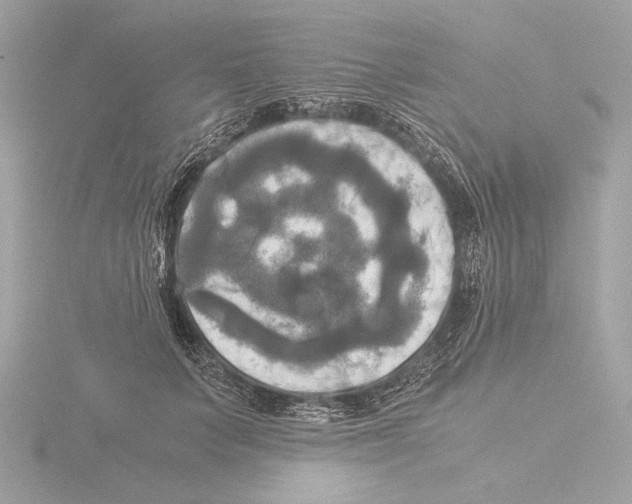 X0000116020703200912181149