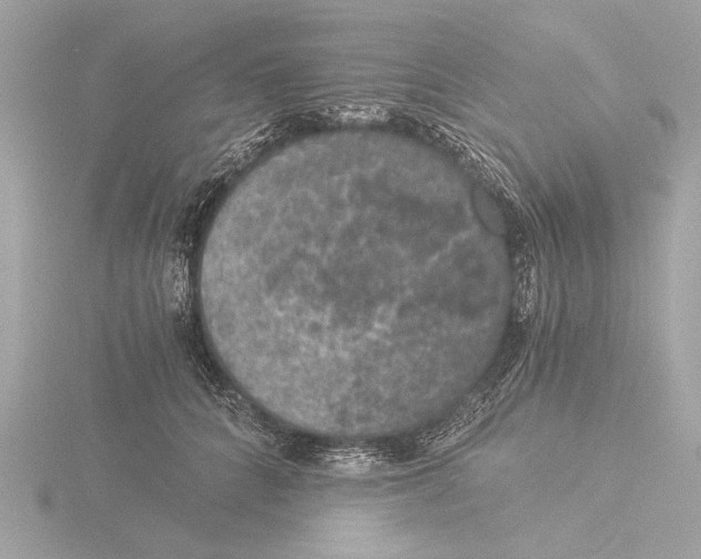 X0000116020704200912181149