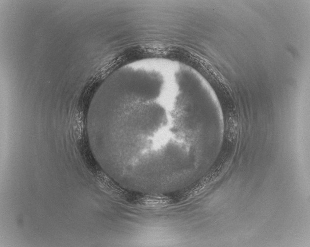 X0000116020707200912181149