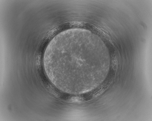 X0000116020708200912181149