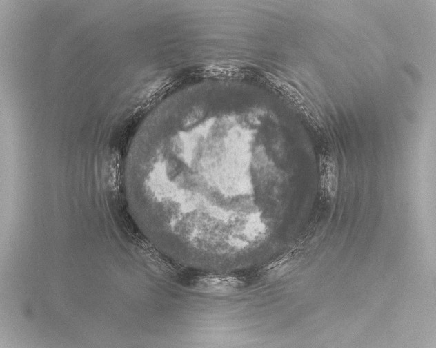 X0000116020712200912181149