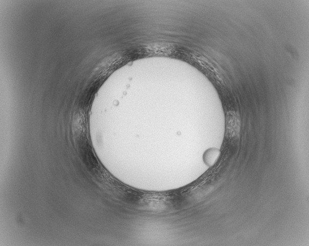 X0000116020713200912181149