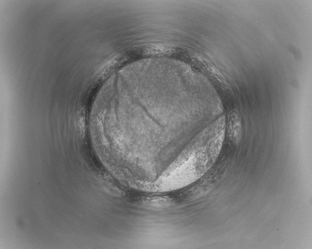 X0000116020716200912181149