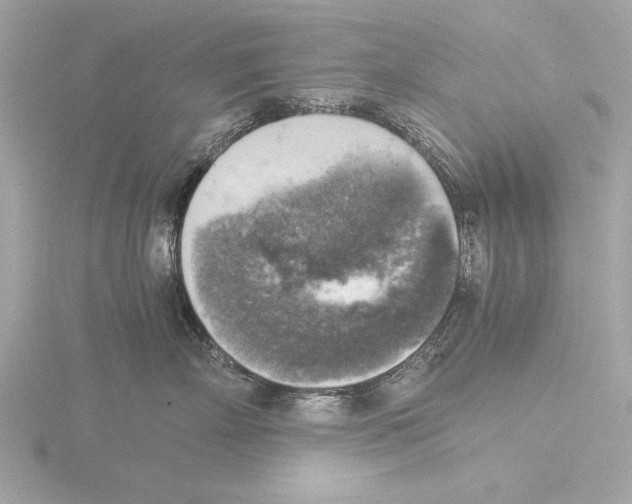 X0000116020718200912181149