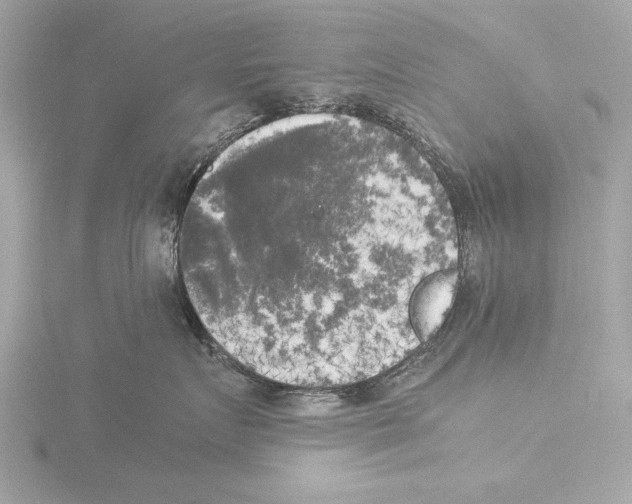 X0000116020719200912181149