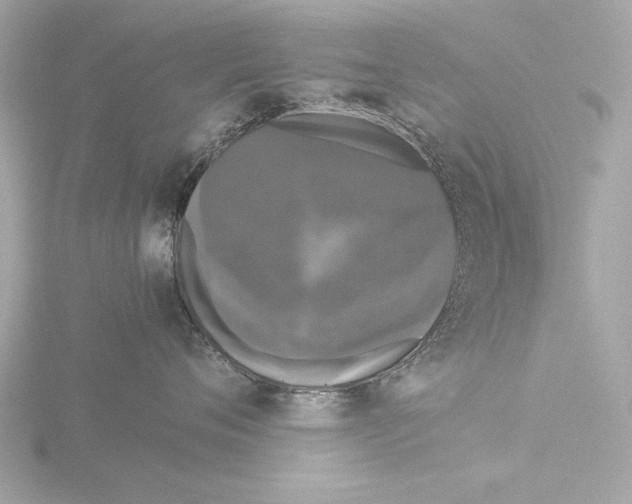 X0000116020720200912181149