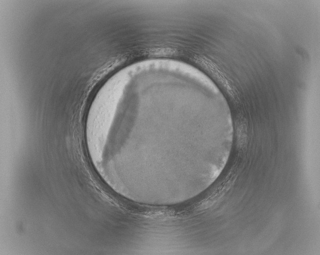 X0000116020721200912181149