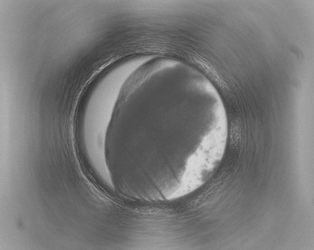 X0000116020722200912181149