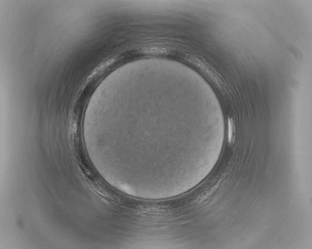 X0000116020723200912181149