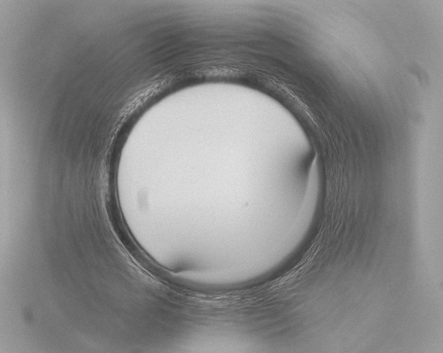 X0000116020725200912181149