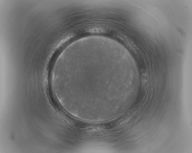 X0000116020727200912181149