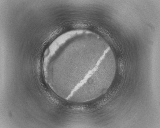 X0000116020729200912181149