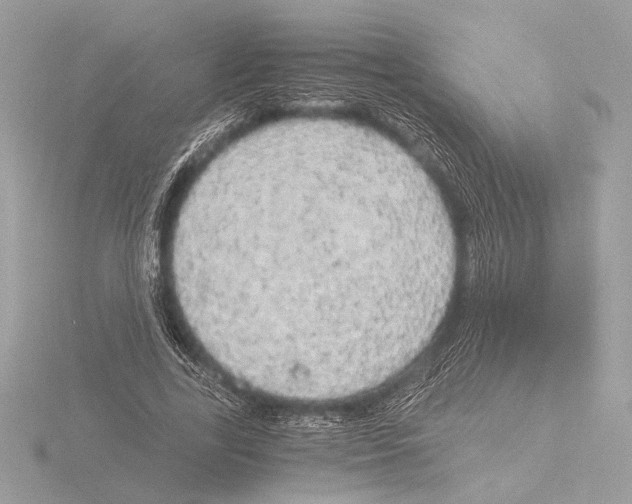 X0000116020731200912181149