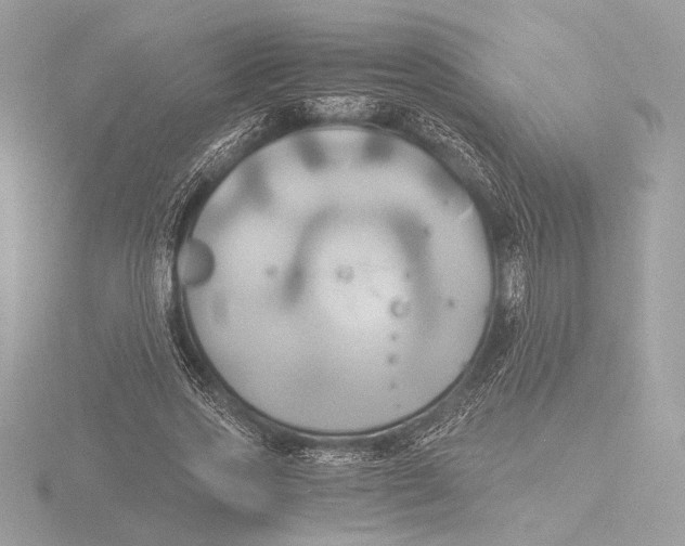 X0000116020733200912181149