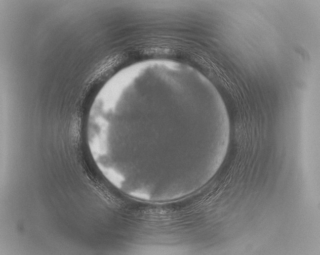 X0000116020735200912181149