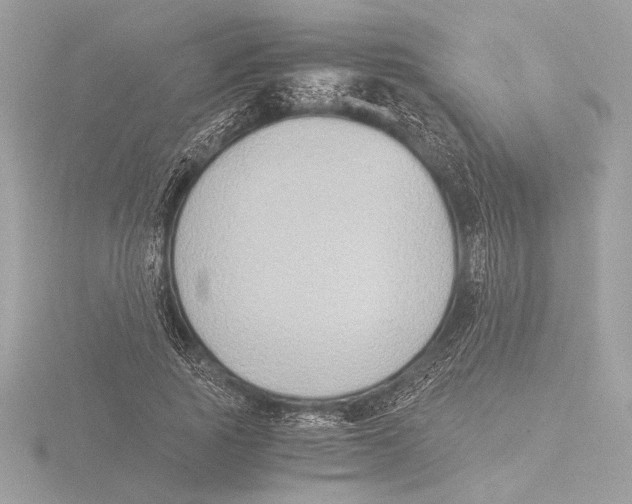 X0000116020737200912181149