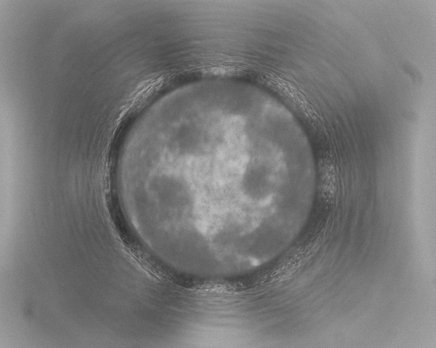 X0000116020738200912181149