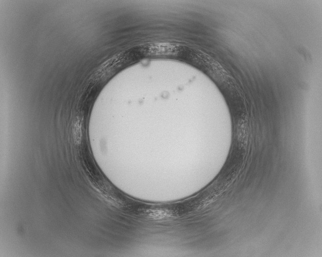 X0000116020741200912181149