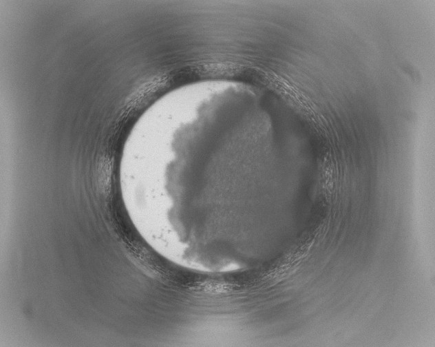 X0000116020742200912181149