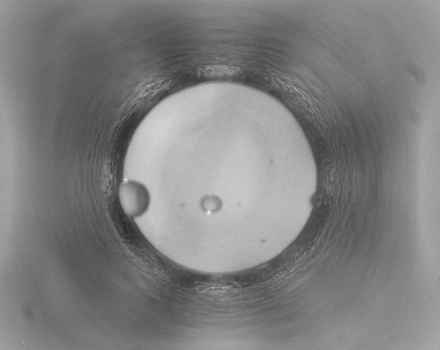 X0000116020743200912181149