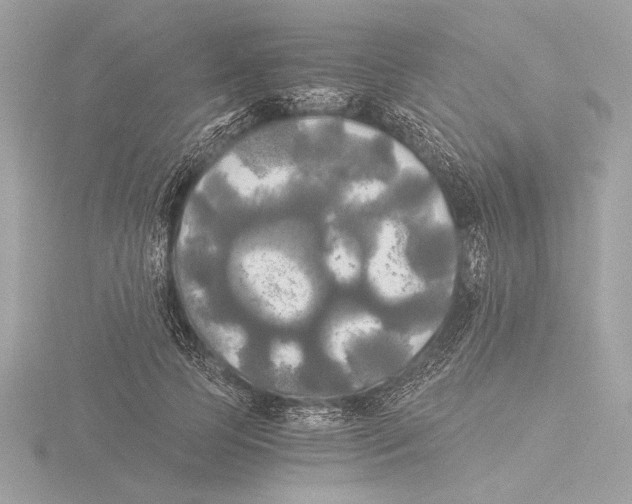 X0000116020745200912181149