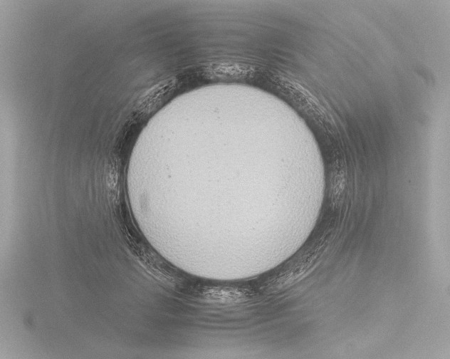 X0000116020749200912181149