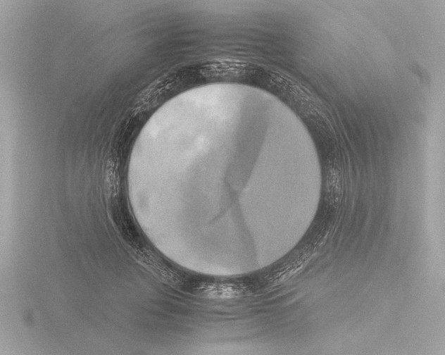 X0000116020751200912181149