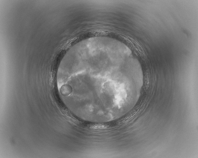 X0000116020759200912181149