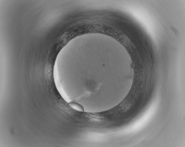 X0000116020767200912181149