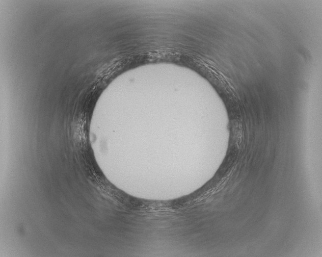 X0000116020770200912181148