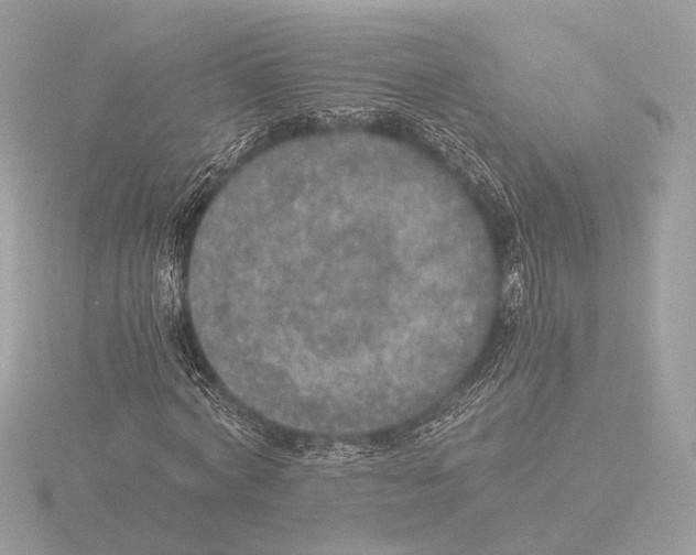 X0000116020772200912181148