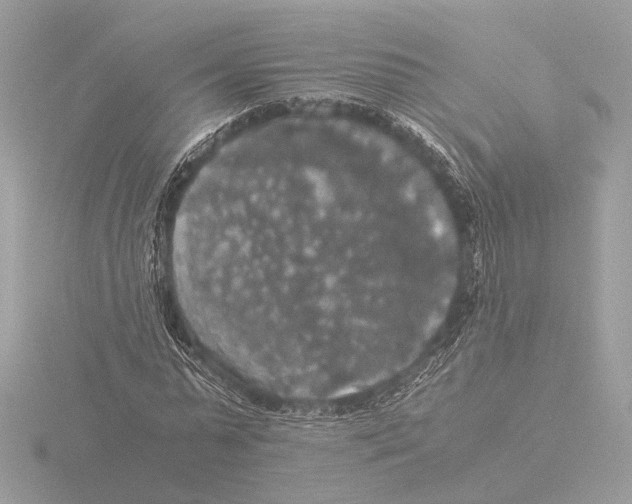 X0000116020775200912181148