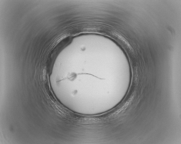 X0000116020777200912181148