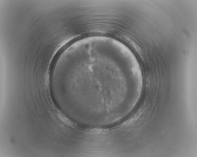 X0000116020779200912181148