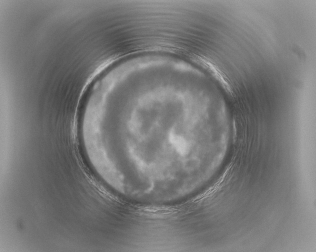 X0000116020780200912181148