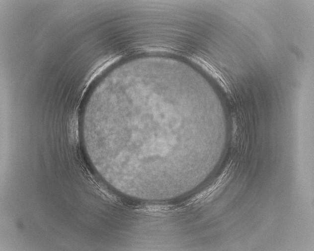 X0000116020782200912181148