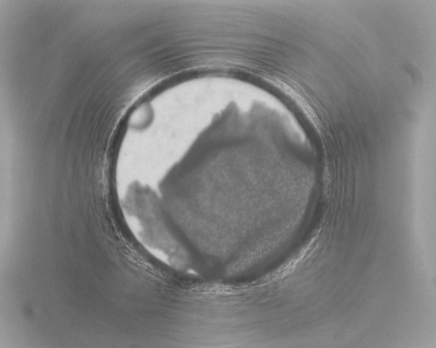 X0000116020783200912181148