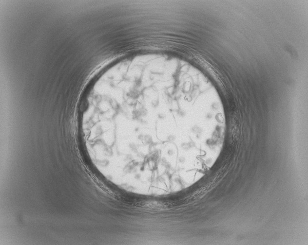 X0000116020787200912181148