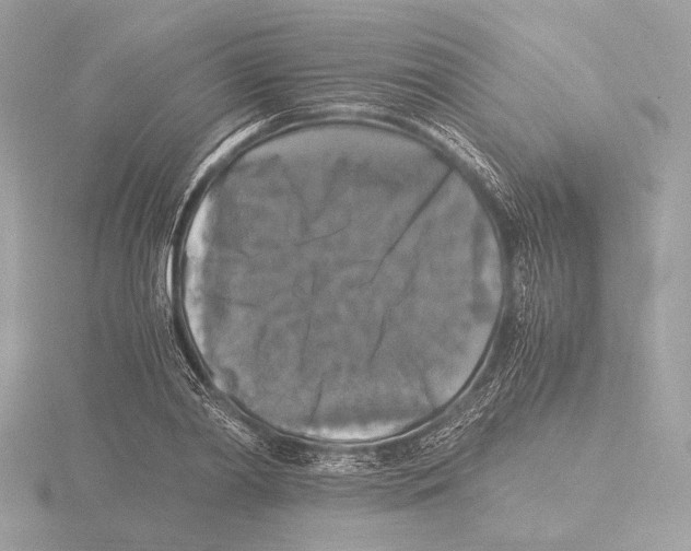 X0000116020790200912181148