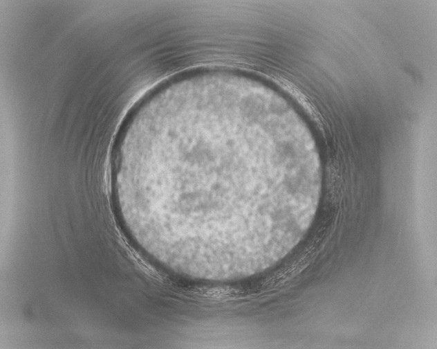 X0000116020791200912181148