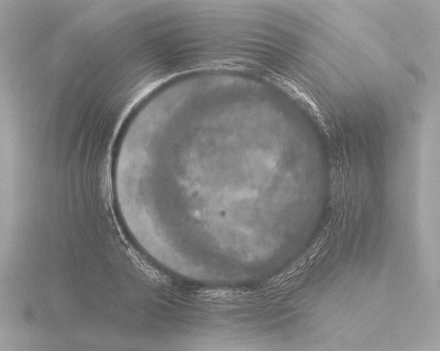 X0000116020792200912181148