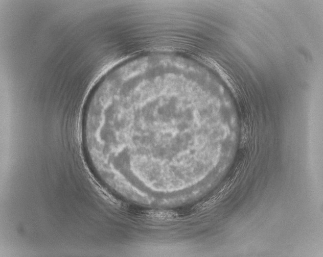 X0000116020795200912181148