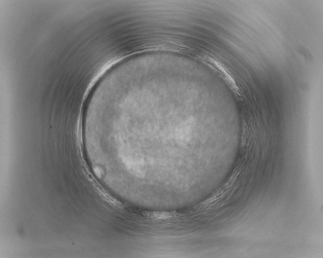 X0000116020796200912181148