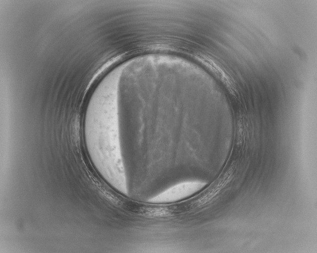 X0000116020798200912181148