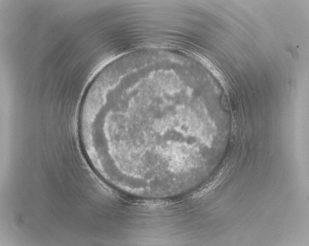 X0000116020803200912181148