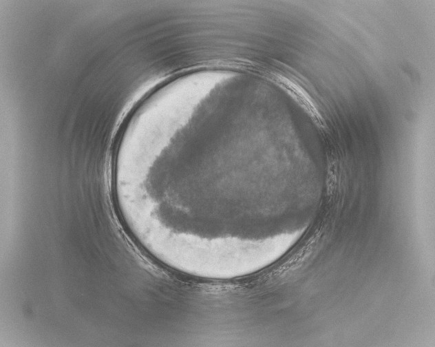 X0000116020804200912181148