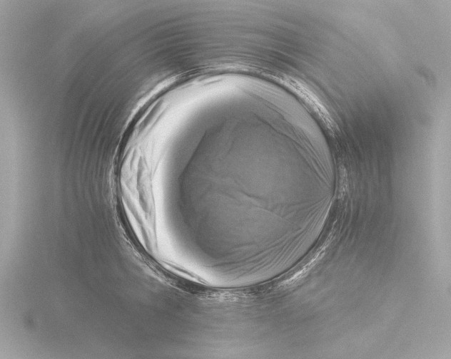 X0000116020806200912181148