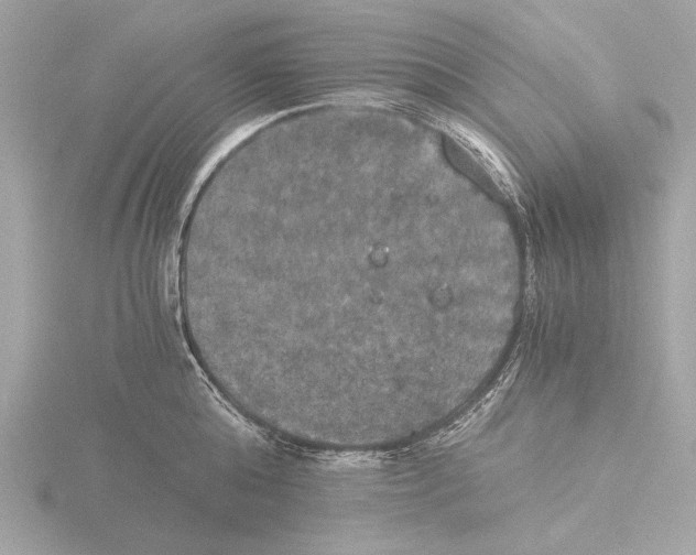 X0000116020808200912181148